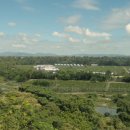 요환농장 이미지