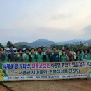 향기만발