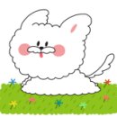 꽃다담 네이버블로그