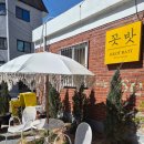 손플라워카페 | 대전 중촌동 카페 추천｜감성카페 플라워카페 ‘에서’ 후기