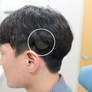 와우백수 이미지