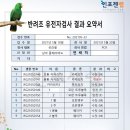 앵무새카페 플레이버드 네이버블로그