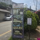 아산 장미 명소 카페 | 카페 플라워돔 솔직 후기