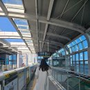 나드리김밥 송현시장점 | 서문시장 먹방 겸 나드리 후기 먹거리 탐방 맛집 추천