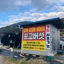 가사농장 | 담양 표고버섯 저렴하게 구매할 수 있는 &#39;가사문학표고농장&#39; 내돈내산 솔직 후기