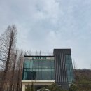 빅트리(Bigtree) | [시흥/물왕저수지 카페 맛집] 메타세콰이어 힐링 스팟, “빅트리카페”