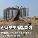 11545-12-23-03 | 인천 신시모도 당일치기 여행 스쿠터 섬투어 소라물회 마숙골 카페 대교 개통 전 마지막 후기