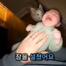 잠 티스토리