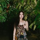 수지 이미지