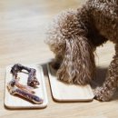 삼형제 펫푸드 이미지