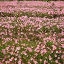 가야농장 이미지