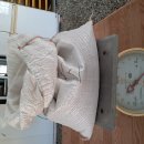 건개다래와 토사자 이미지