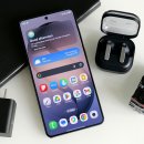 B.F boxing 이미지