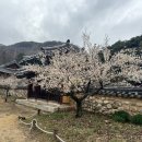 회연 대경일보