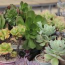 인천대공원(정문) 이미지