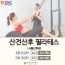 보라필라테스 - 영등포구 대림로8길 39 | 산전산후 교육, 제가 기대한 것과 실제 교육은 달랐습니다｜보눔필라테스 워크샵 솔직 후기
