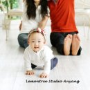 레몬트리 이미지