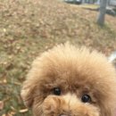 양산 우리센터