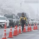 주정차33 이미지