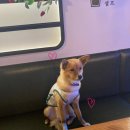 역전할머니맥주조선대점 이미지