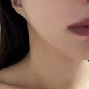 천종산삼배양근 천온진 산삼온진 알아보기 효능 및 섭취 후기
