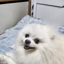 또봉이통닭삼천포점 이미지
