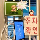 동경규카츠 | 일산 정발산 맛집 추천｜웨스턴돔 맛집 동경규카츠 내돈내산