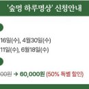 멍하루 이미지