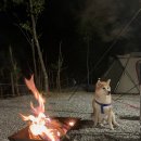 비발디 캠핑파크 이미지