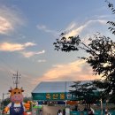 우리농산물판매장 | 2025 청원생명축제 아기랑 다녀온 후기(놀이 체험, 한우)