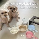 카카오독 | 2025 브릿지독 감사제 다녀온 후기 강아지 그릇 득템
