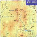 877 이미지