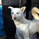 대길주유소 이미지