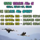 1. 8 낮설교 - 진정한 믿음으로 사는 삶 (합2;4, 마7;21-27, 엡2;8) 동영상설교-설교전문ppt 이미지