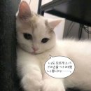 민현 | 민현이 생카 후기 갖고 옴