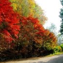 여의서로1길 이미지