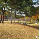 서호공원 이미지