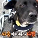 김진수농장 이미지