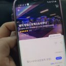 킹덤스포렉스 이미지