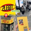 산책길(반려동물 미용실) | [공지] 헤어샤압 투리짓 : 미사역 미용실, 푸석한 모발 클리닉으로 되살리기 성공!(디자이너 가을쌤)