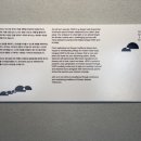 마이너스프론트스튜디오 네이버블로그