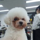 풋라인
