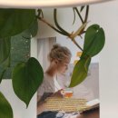 선학역 3번출구 이미지