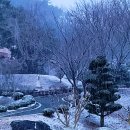 성심원 이미지