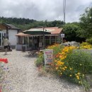 나리 야영장 옆 이미지