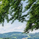 상영빌딩 이미지