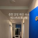 에스파스 호스텔 이미지