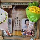 사주카페 다미 | 인생은 가까이서 보면 비극이지만 멀리서 보면 안보일걸? [10월 총집편]