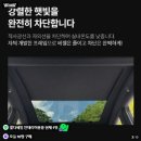 오토핏 | 비밀특가 테슬라 전동 선쉐이드 후기, 슬림핏 오토 선쉐이드 설치 후 달라진 점