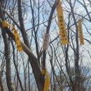 우당골 Daum카페